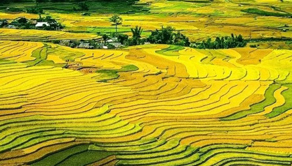 【立秋】葉落知秋，豐收正當(dāng)時(shí)